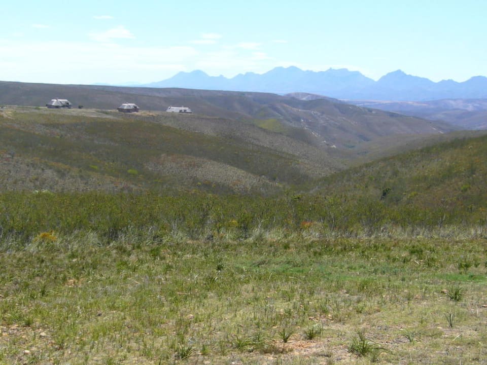 Ausblick von der Terrasse Gondwana Game Reserve