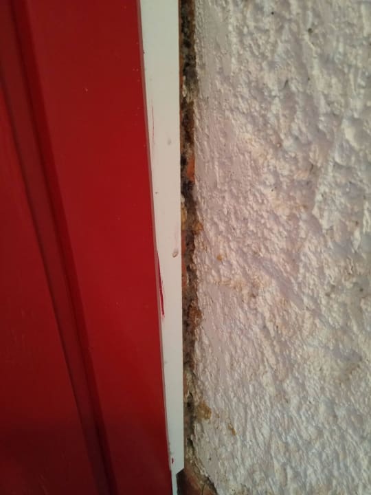 Dreck, Dreck, Dreck Hotel Marina Club