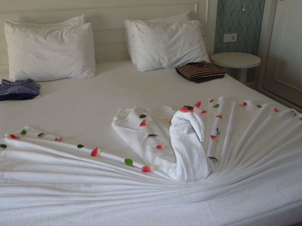 Nett von unserer Zimmerfee Sentido Trendy Verbena Beach