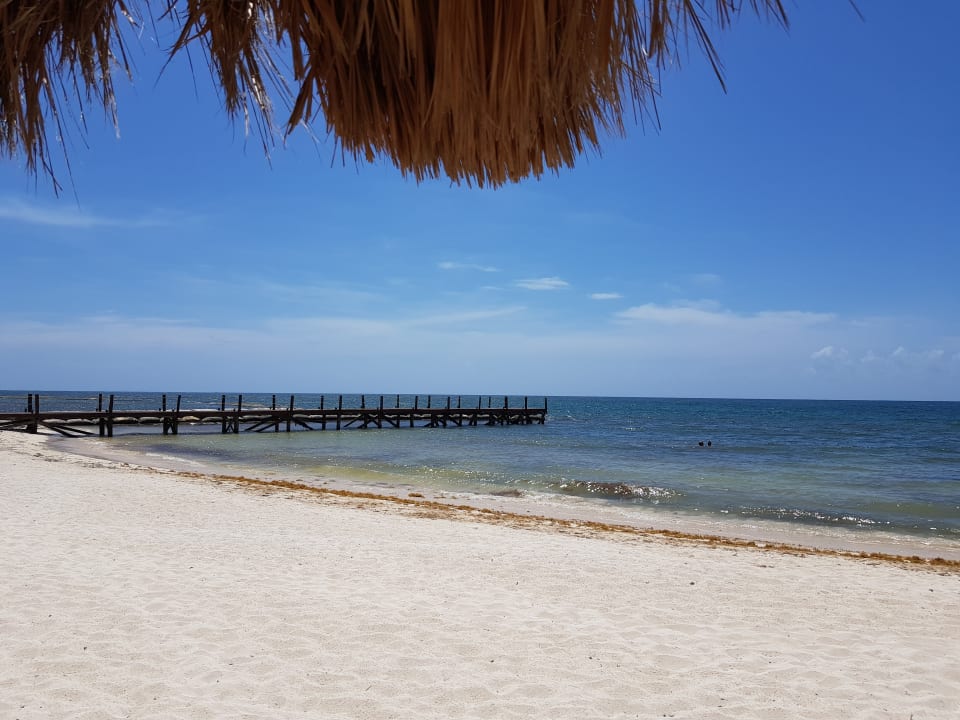 Strand H10 Ocean Maya Royale - Adults only