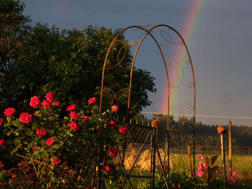 Ausblick Irgenbauernhof