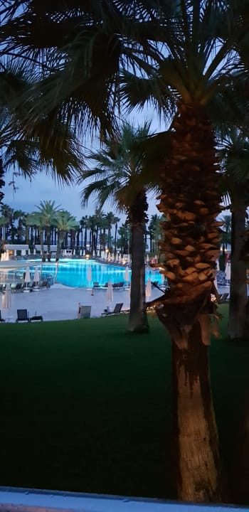 Pool Monachus Family Resort Sorgun