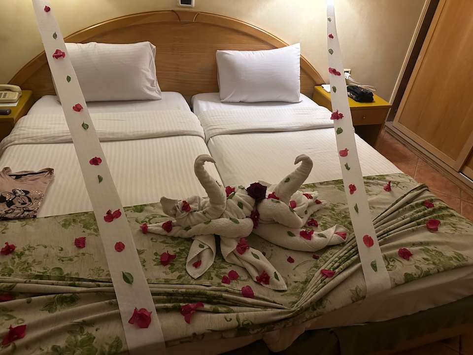 Zimmer Ghazala Gardens