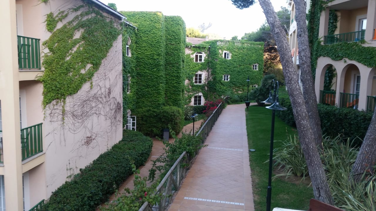 Weg zu den Zimmern Zafiro Cala Mesquida