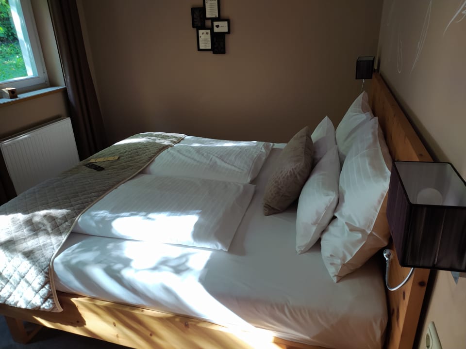 Zimmer Hotel Albizia