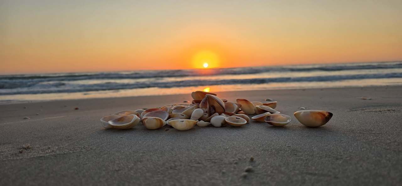 Strand Mahdia Palace Thalasso