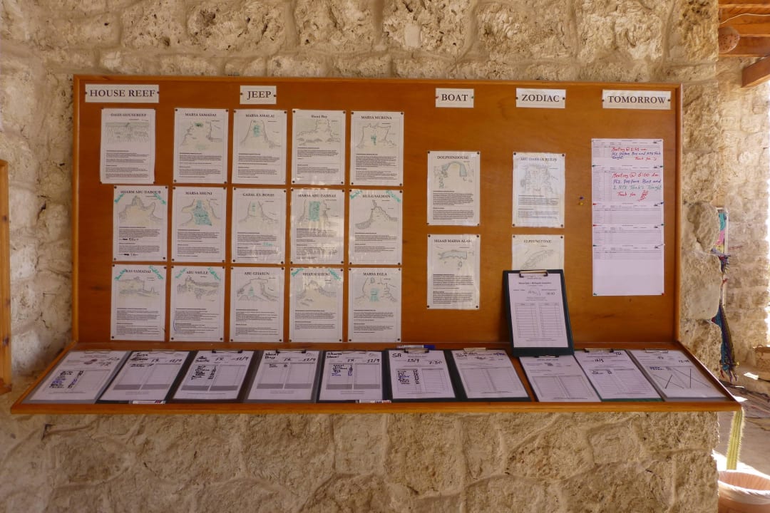 Tauch-Terminplan The Oasis Dive Resort