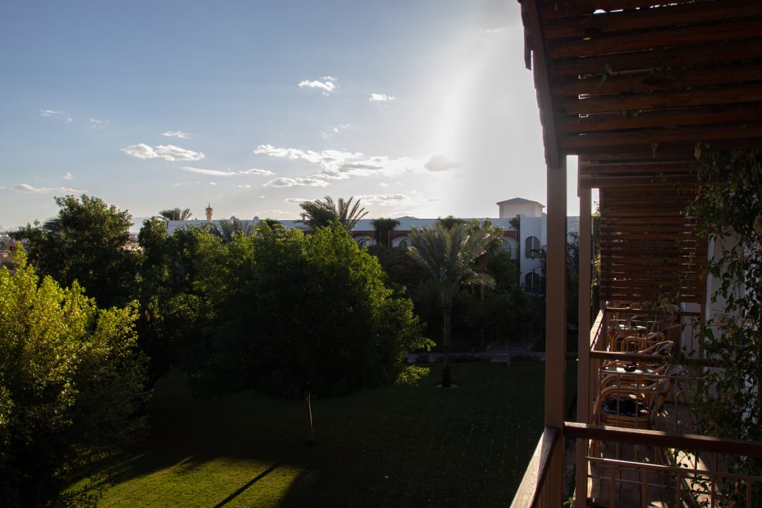 Ausblick Desert Rose