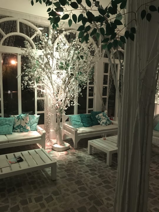 Sonstiges Desert Rose