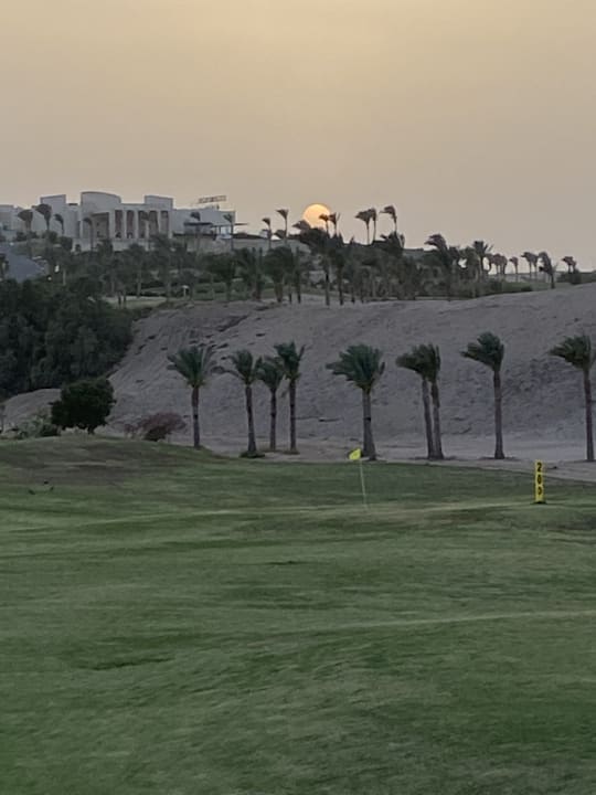 Außenansicht JAZ Neo Saraya Palms