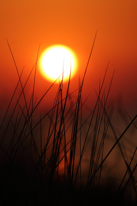 Ausblick Strandhotel Weissenhäuser Strand