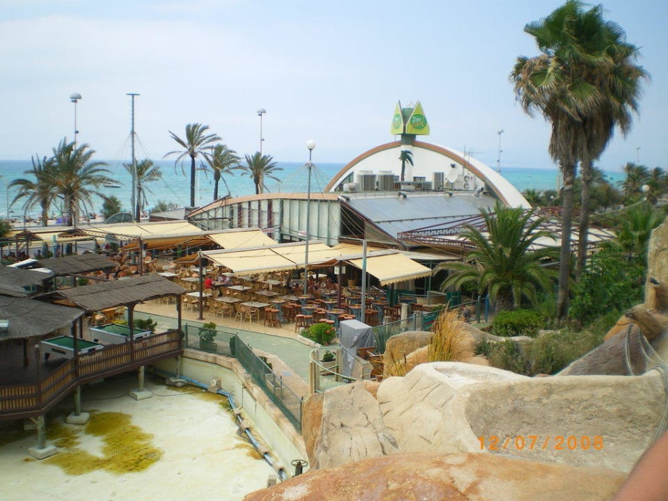 Minigolf Anlage/Dinopark Hotel Pabisa Chico