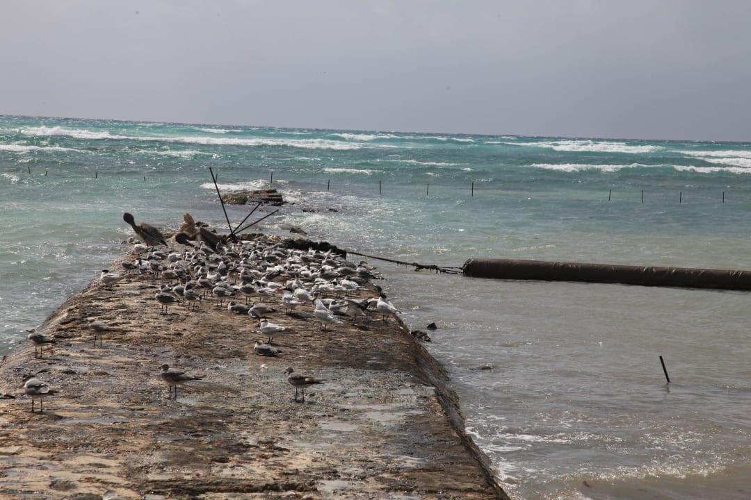 Häßlicher Strandabschnitt TUI BLUE El Dorado Seaside Suites