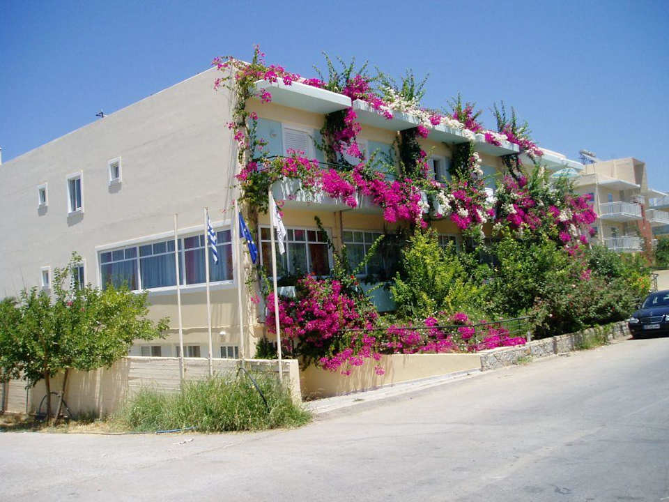 Hotel Dedalos Beach Hotel Dedalos Beach