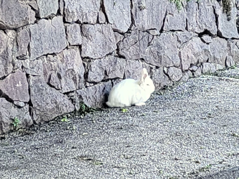 Sonstiges Panoramapension Etschblick