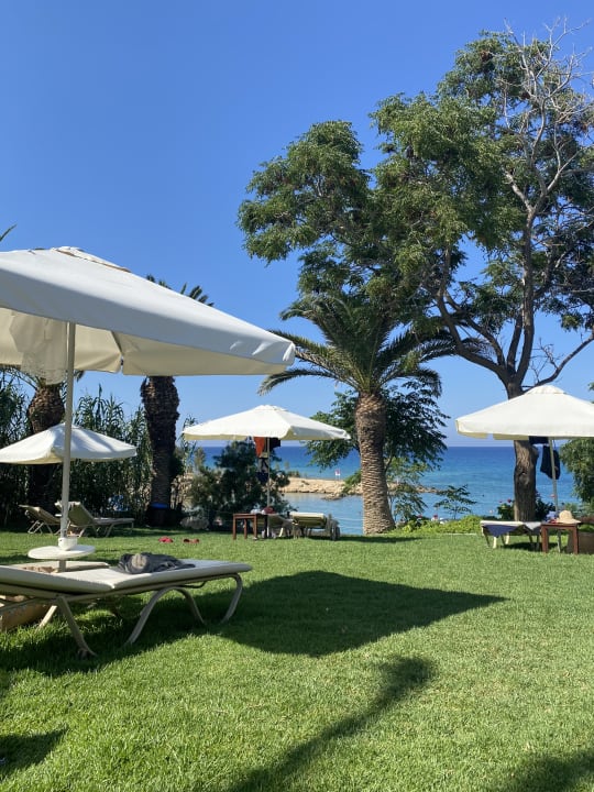 Gartenanlage Crystal Springs Beach Hotel