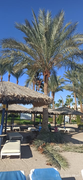 Strand Regina Resort and Aqua Park Hurghada