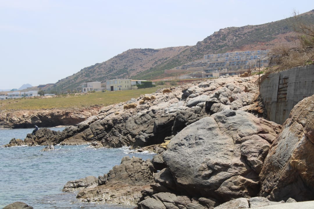 Außenansicht Iberostar Selection Creta Marine