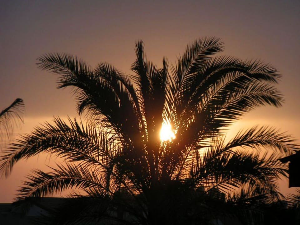Sonnenuntergang TUI BLUE Palm Garden