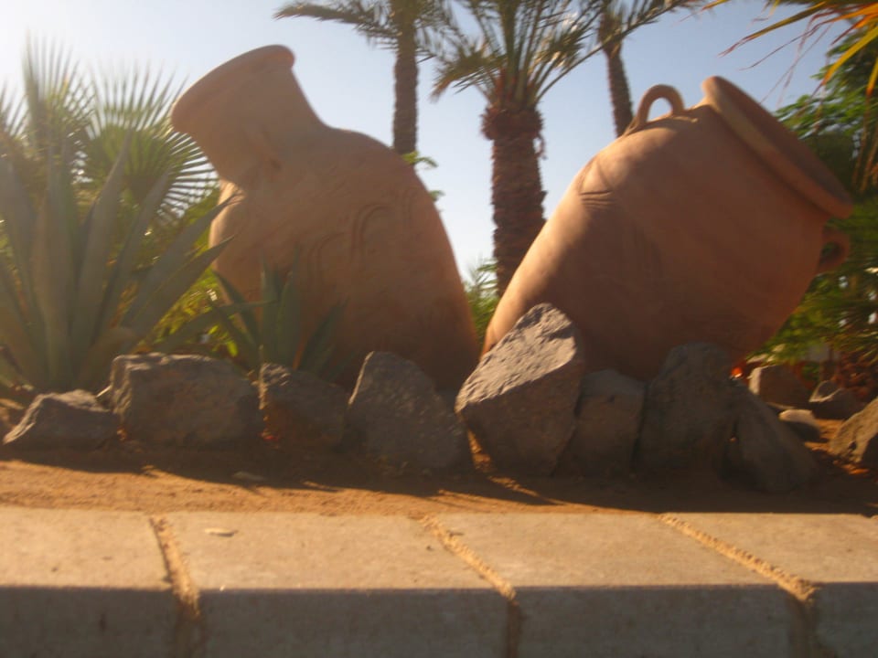 Lizzy Steigenberger ALDAU Beach Hotel