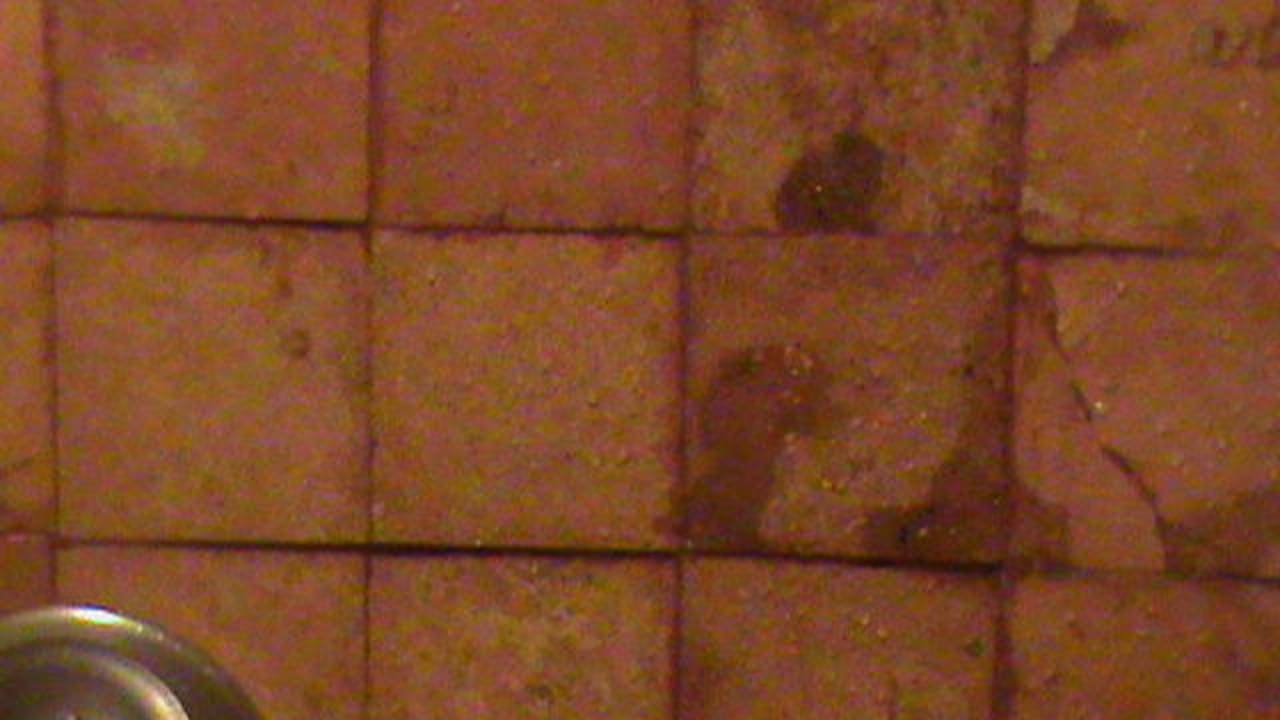 Dusche Iberostar Waves Tucan