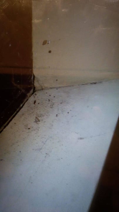 Reinlichkeit Odessos Park Hotel