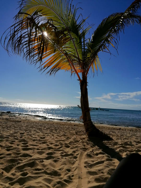 Strand Hotel Viva Dominicus Beach by Wyndham - All Inclusive Resort