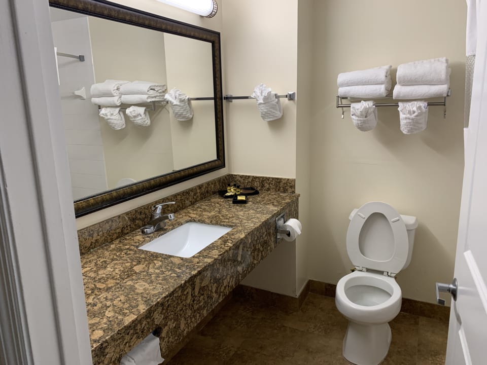 Zimmer Best Western Plus Hotel Universal Inn