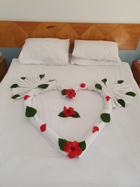 Zimmer Asteria Collection Side