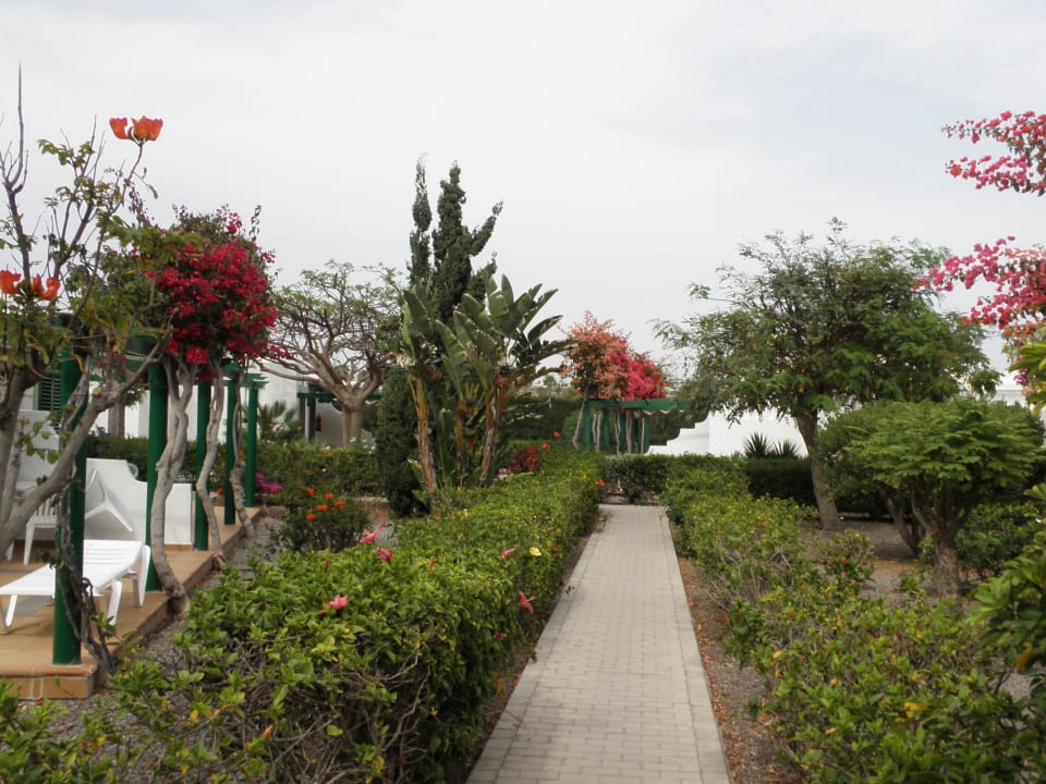 Gang zum Bungalow Bungalows Cordial Sandy Golf