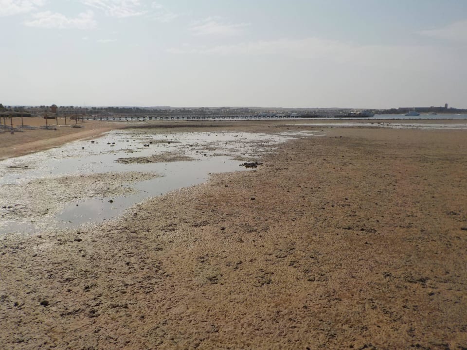 Strand bei Stella Makadi, Niedrigwasser Jaz Makadi Oasis Resort