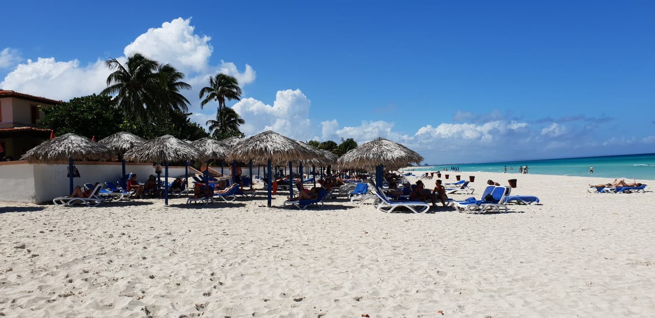 Strand Starfish Cuatro Palmas