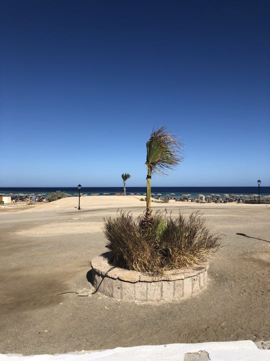 Strand Hotel Gorgonia Beach Resort