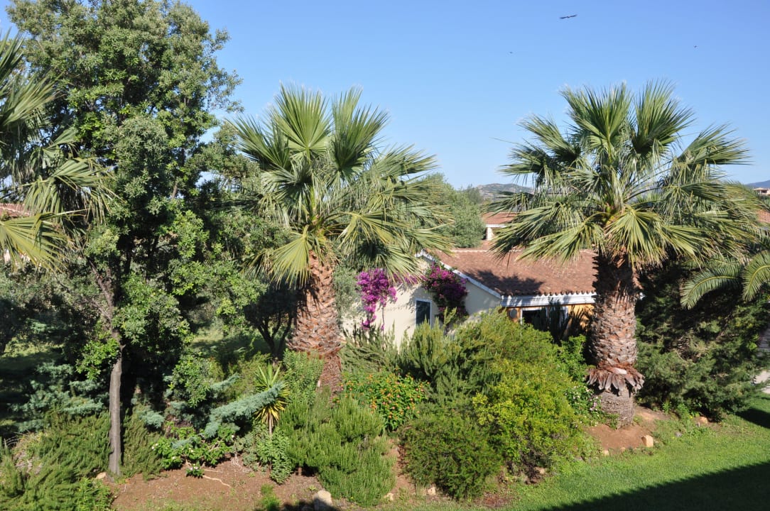 Blick in den Garten Tirreno Resort