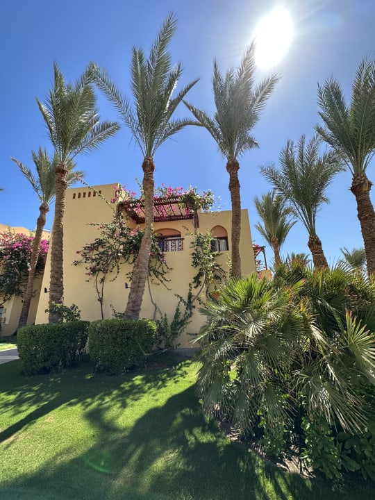 Gartenanlage Steigenberger Coraya Beach - Adults only