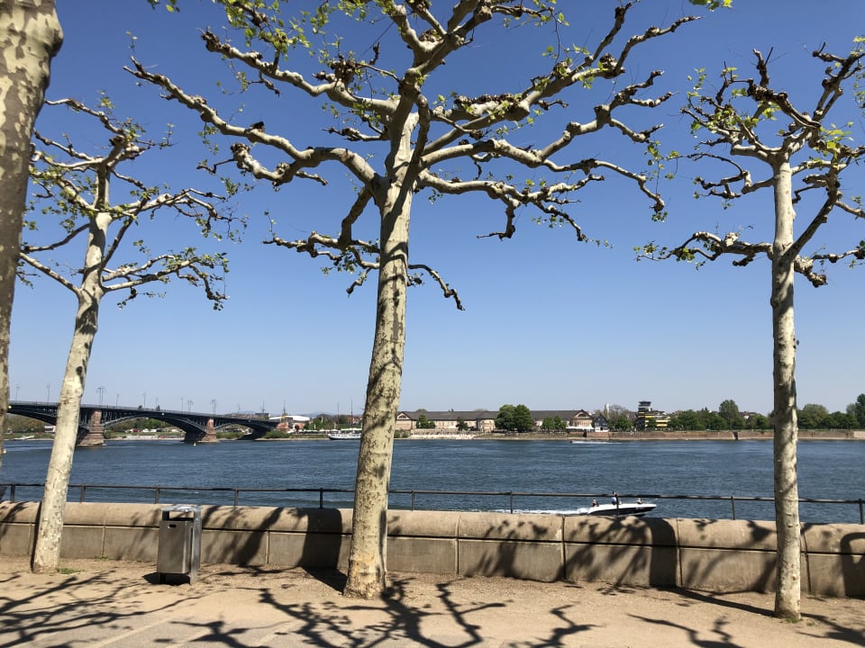 Ausblick Hilton Mainz