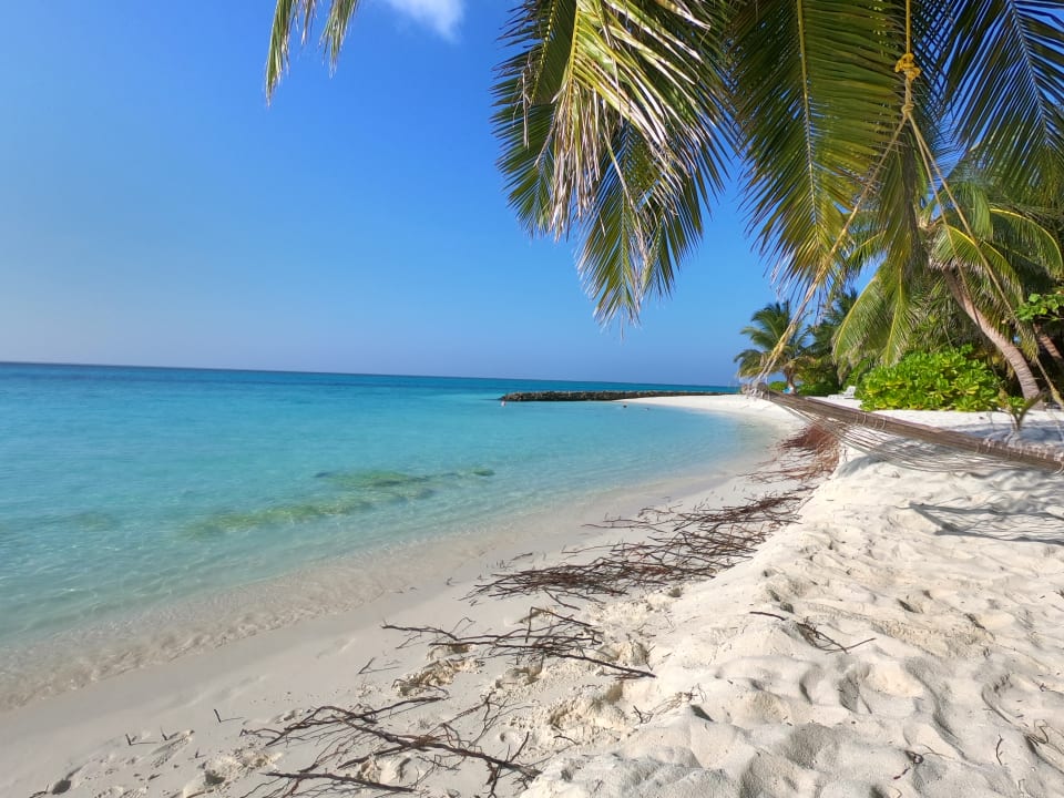 Strand Summer Island Maldives