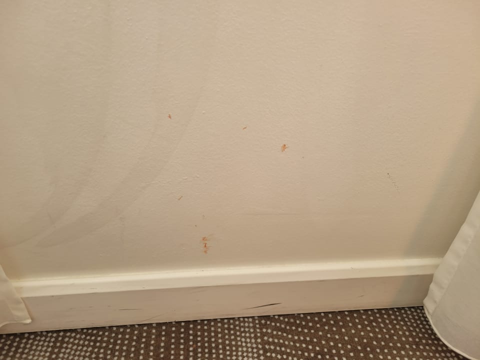 Zimmer Hotel Novotel Aachen-City