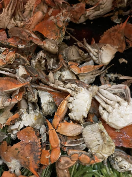 Gastro Sherwood Exclusive Kemer