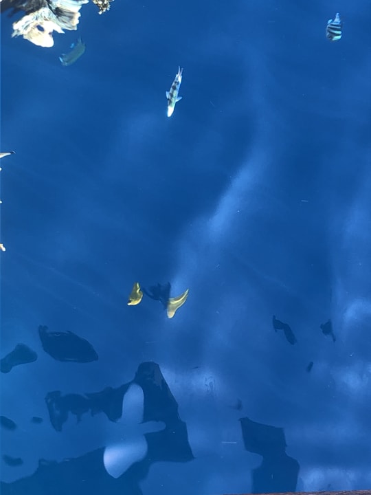 Strand The Grand Hotel Sharm El Sheikh