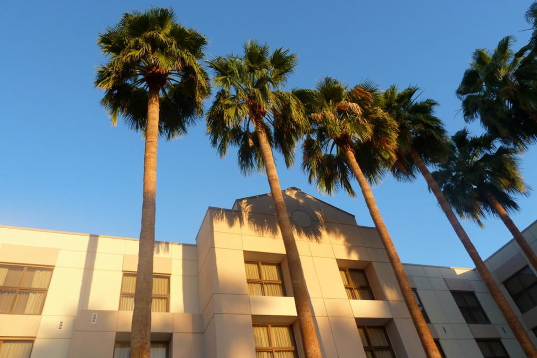 Blick vom Pool Hotel Radisson Phoenix Chandler