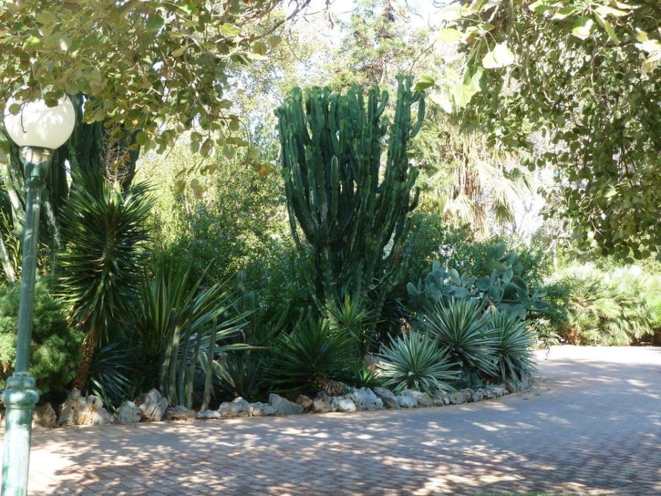 Vor dem Hotel Calimera Sirens Beach
