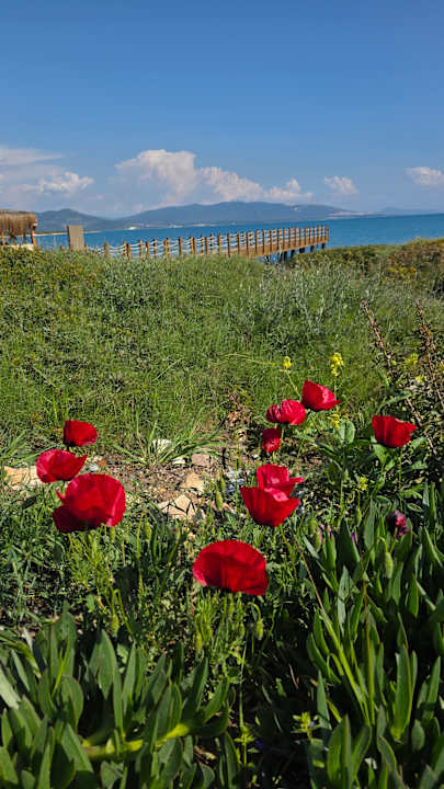 Ausblick Anda Barut Collection