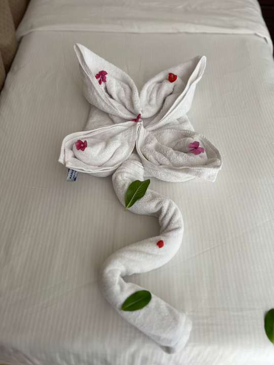 Zimmer Pickalbatros White Beach Resort - Hurghada