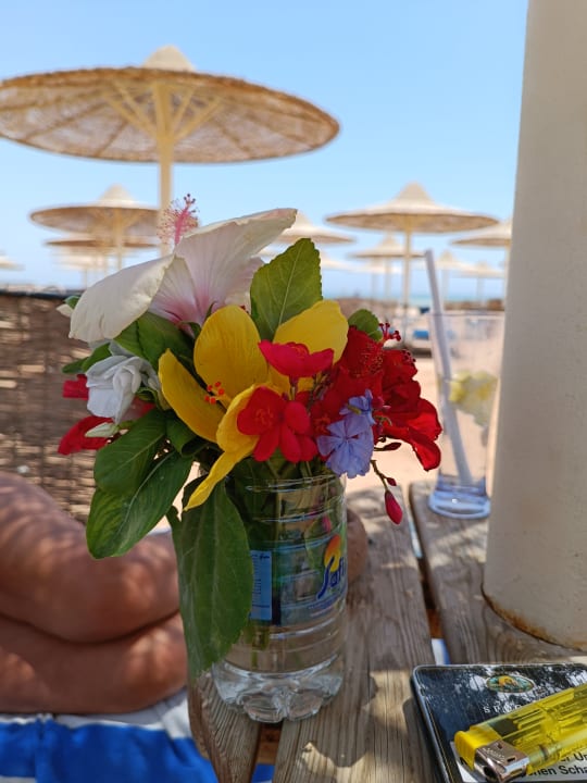 Sonstiges Stella Beach Resort & Spa Makadi Bay