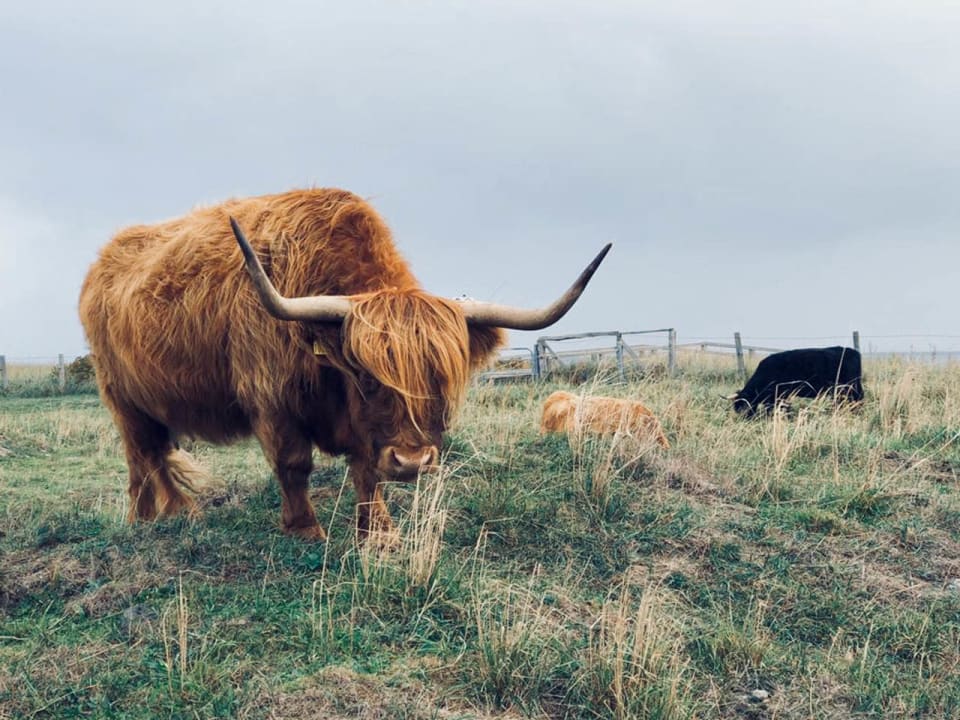 Ausblick Stranddorf Augustenhof