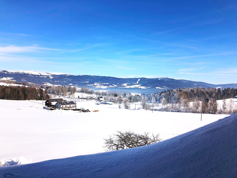 Ausblick Ferienwohnungen Weidingerhof