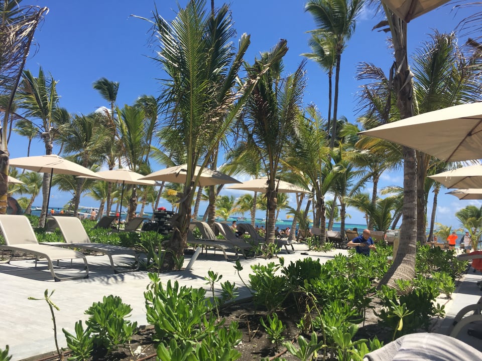 Pool Lopesan Costa Bávaro Resort, Spa & Casino