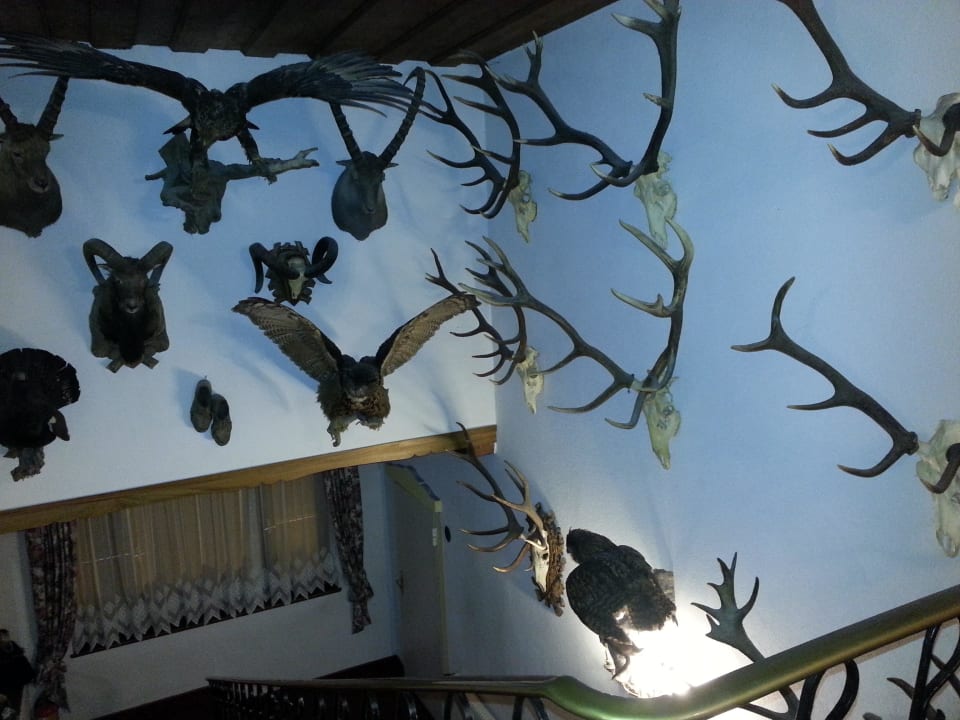 Treppenhaus Hotel Gisela