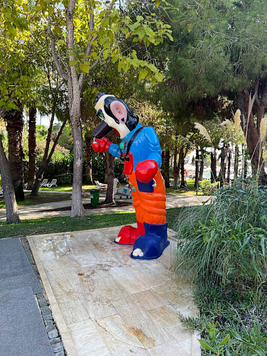 Pool Blue Waters Club